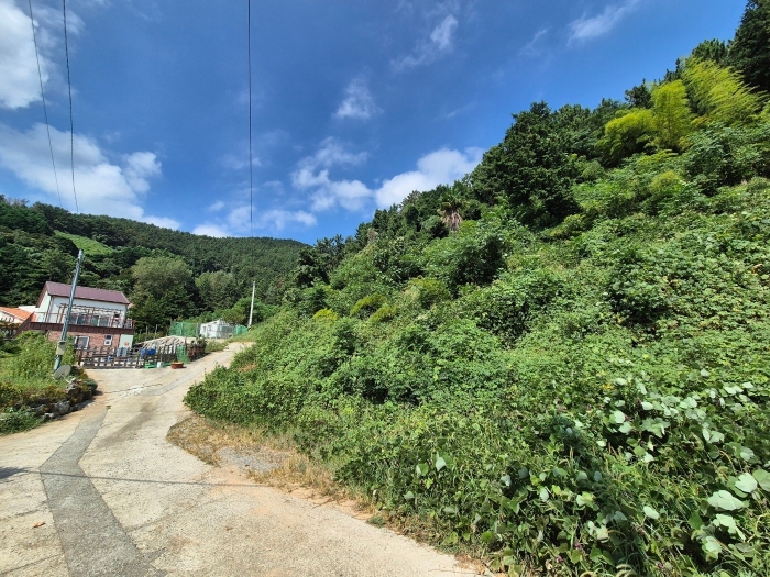 물건 사진 15