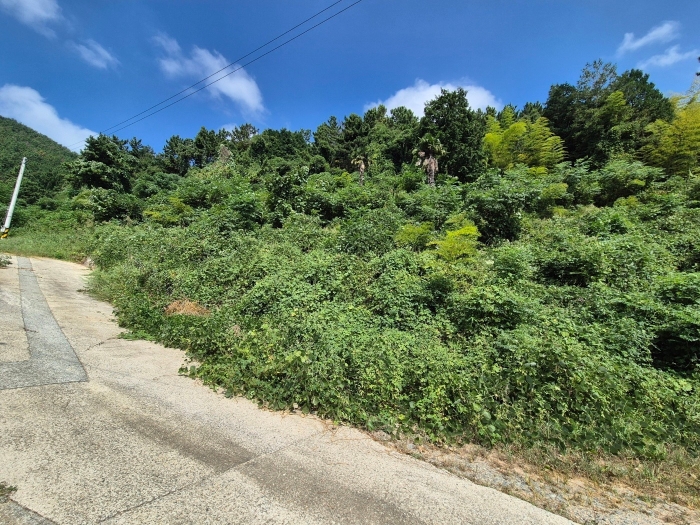 물건 사진 16