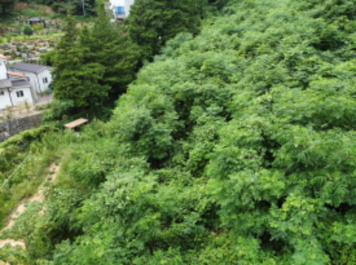 물건 사진 4