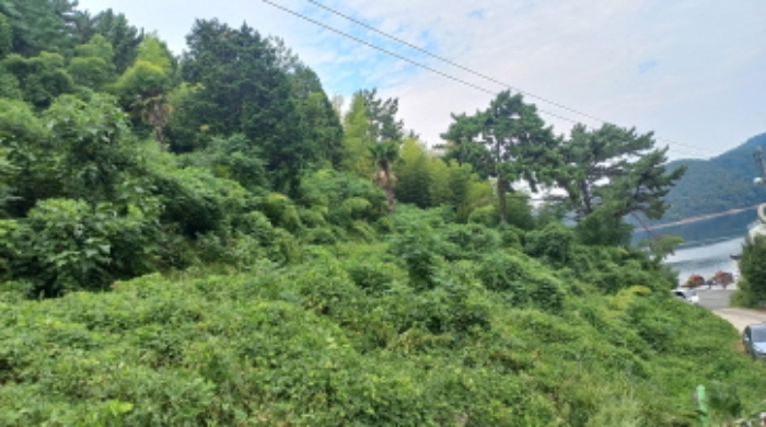 물건 사진 5