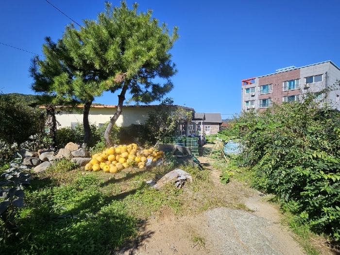 물건 사진 5