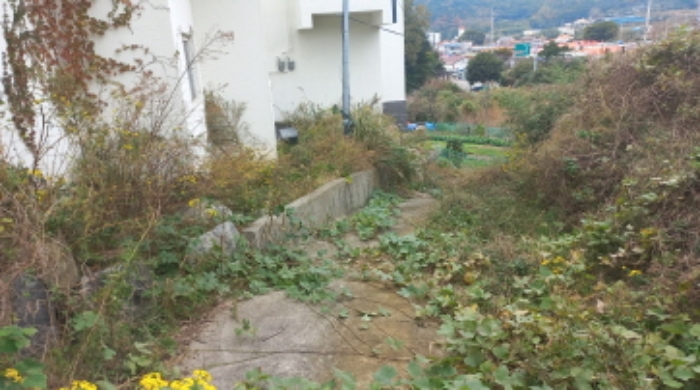 물건 사진 15
