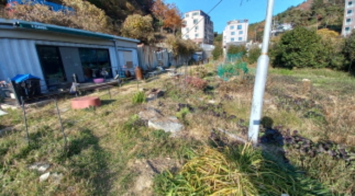 물건 사진 16