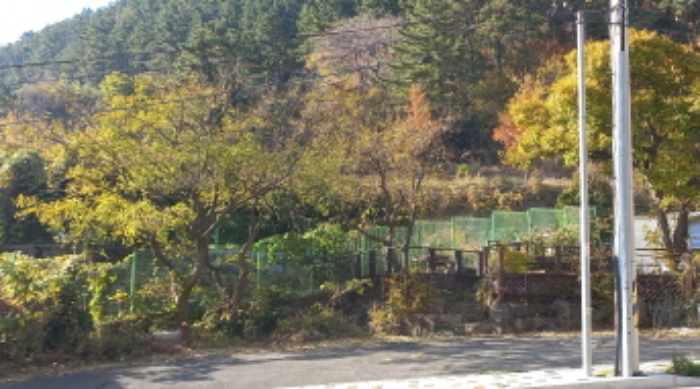 물건 사진 39