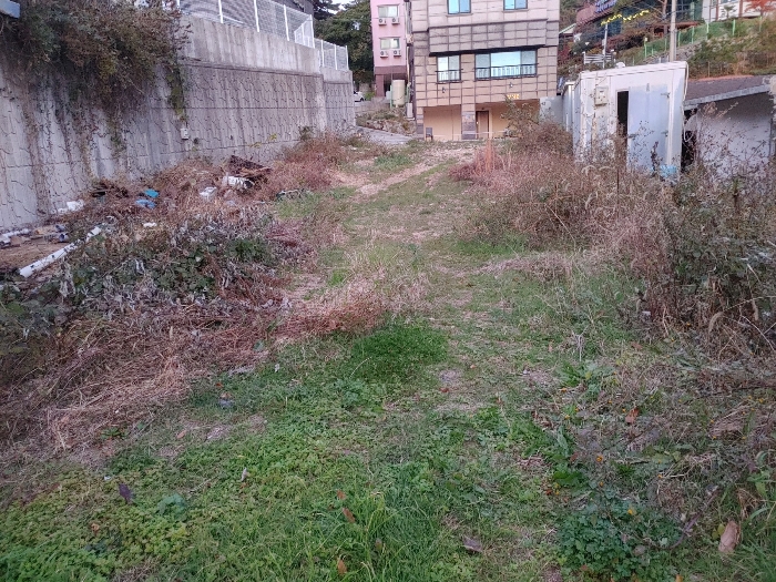 물건 사진 51