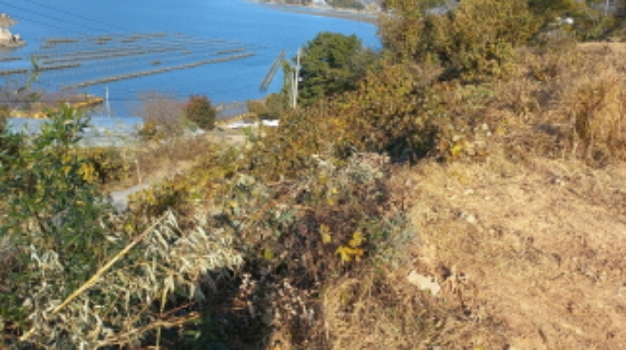 물건 사진 2
