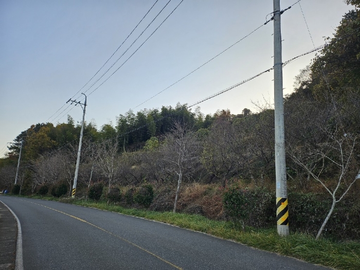 물건 사진 15