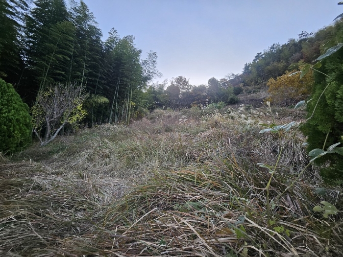물건 사진 18