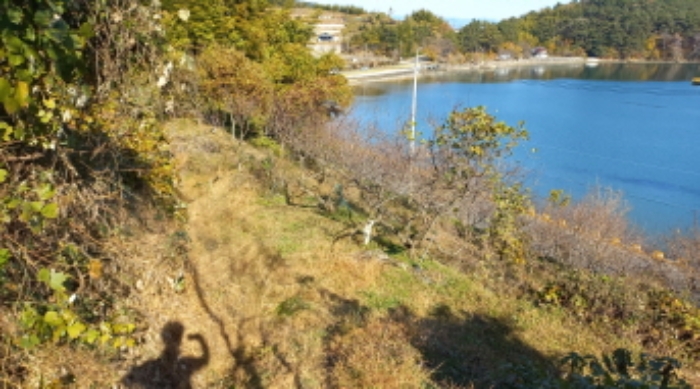 물건 사진 3