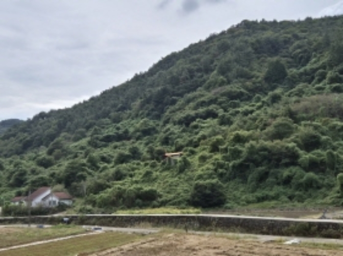 물건 사진 14