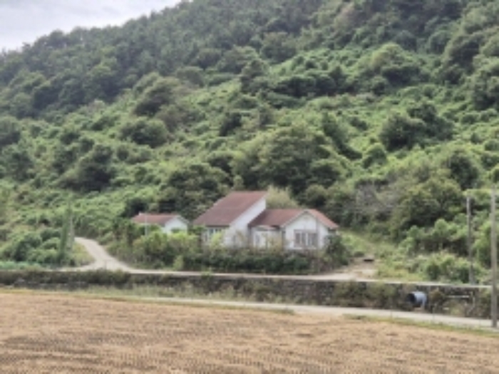 물건 사진 17