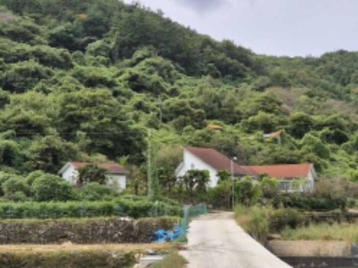 물건 사진 18