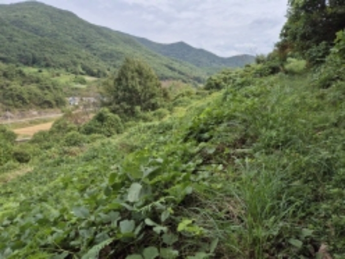 물건 사진 21