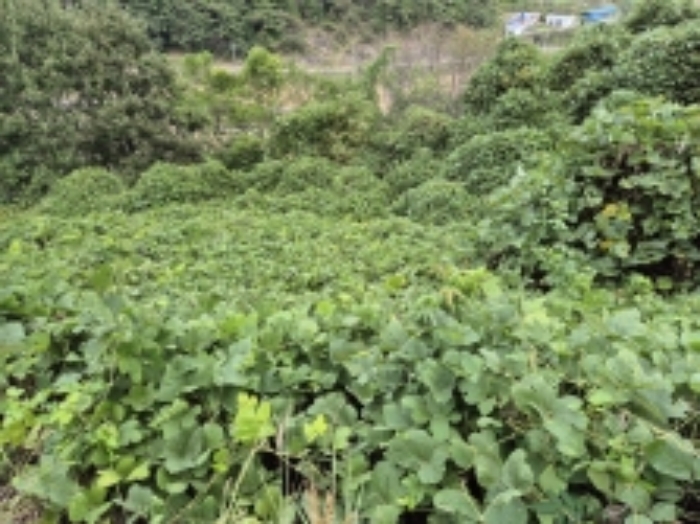 물건 사진 27