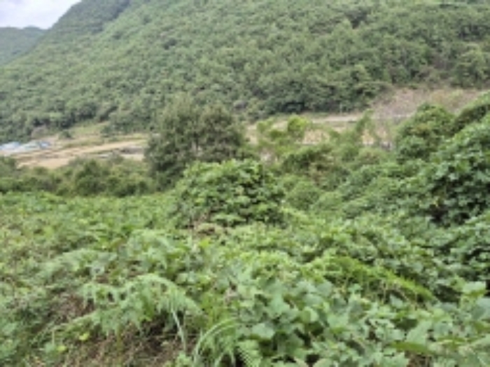 물건 사진 28
