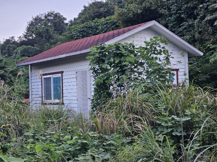 물건 사진 44