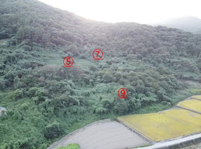 물건 사진 55