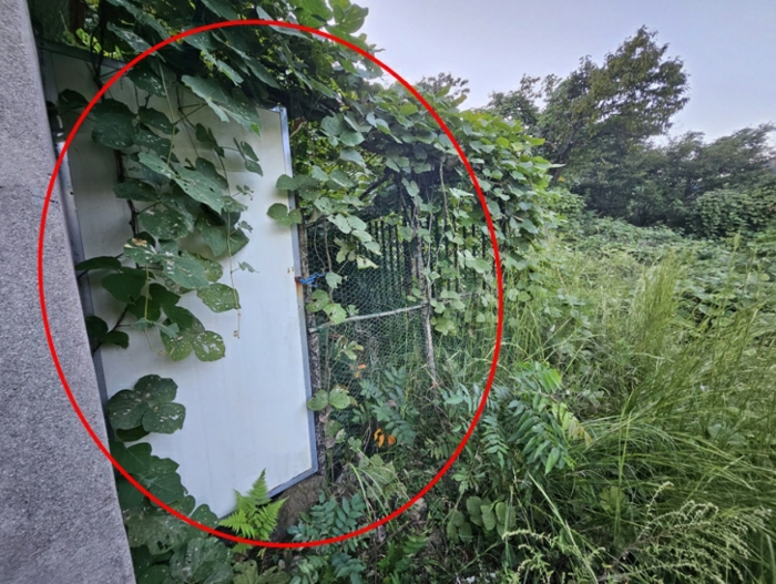 물건 사진 60