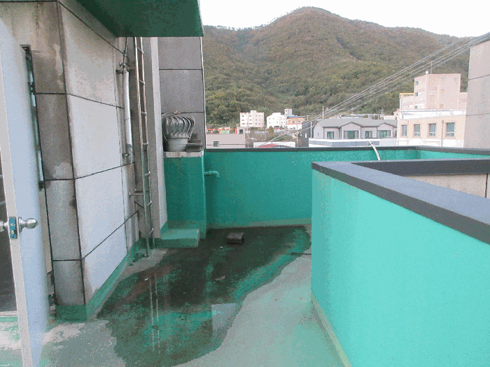 물건 사진 50