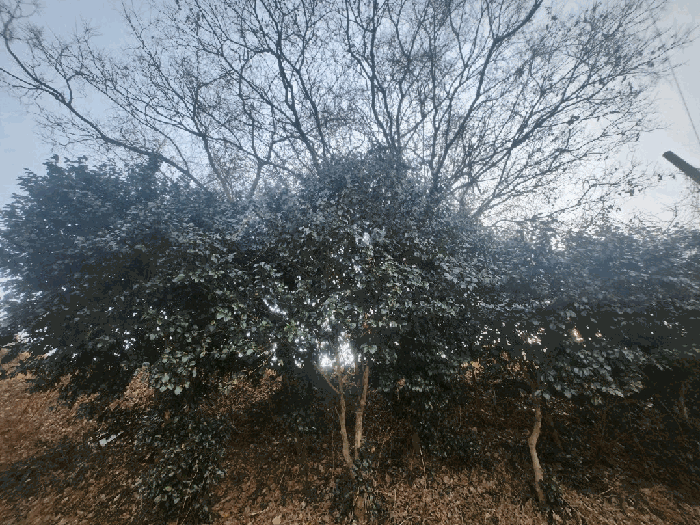 물건 사진 15