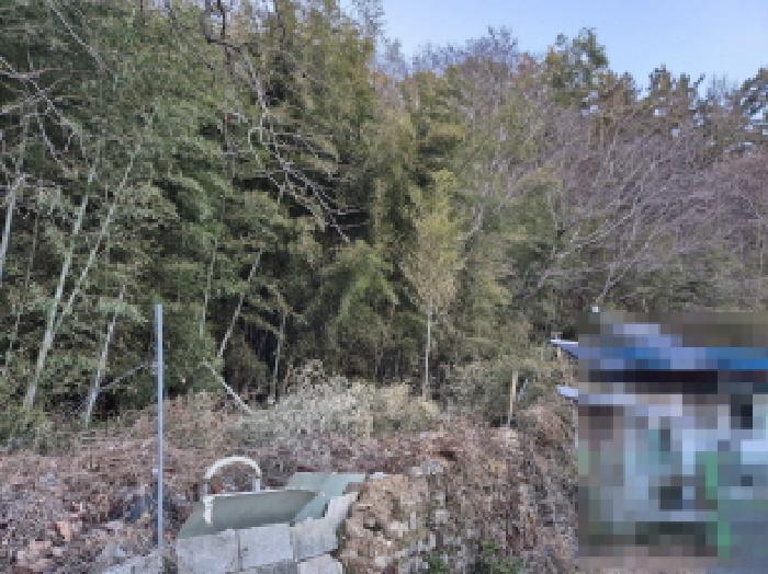 물건 사진 3