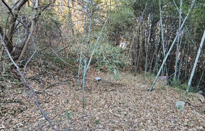 물건 사진 7