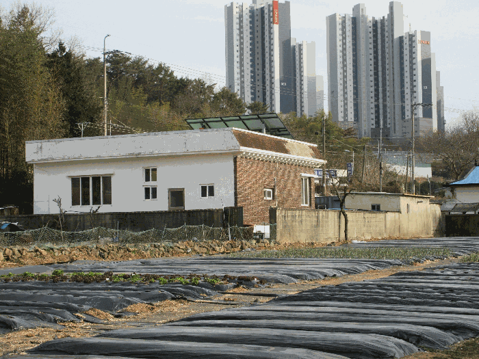 물건 사진 39