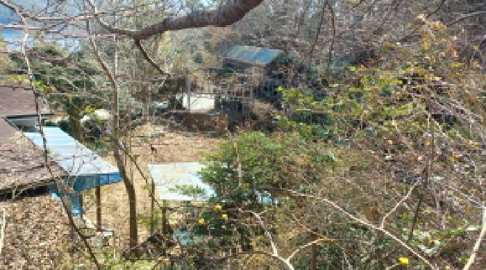 물건 사진 15