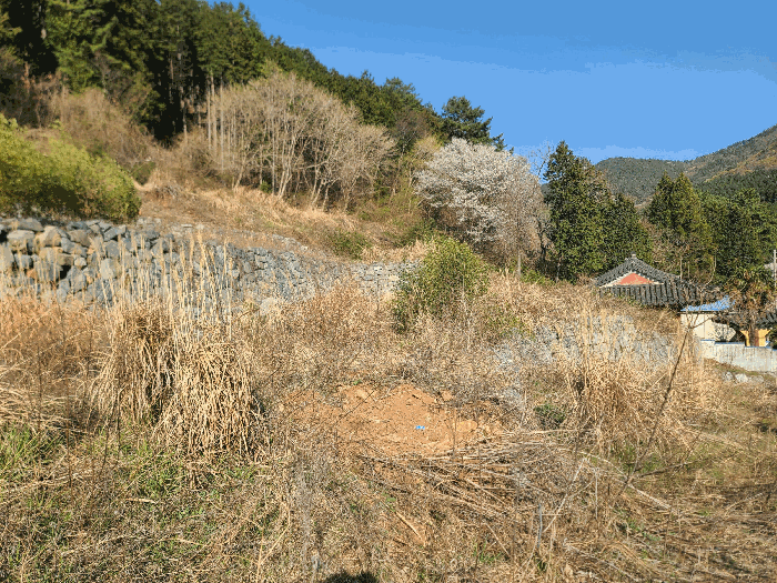 물건 사진 15