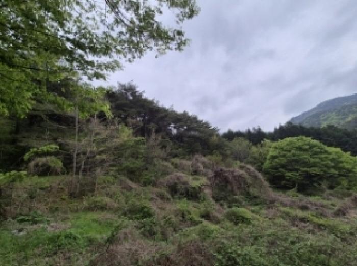 물건 사진 1