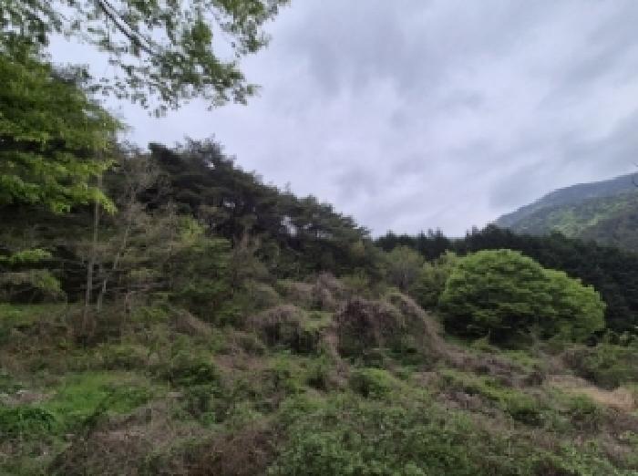 물건 사진 4