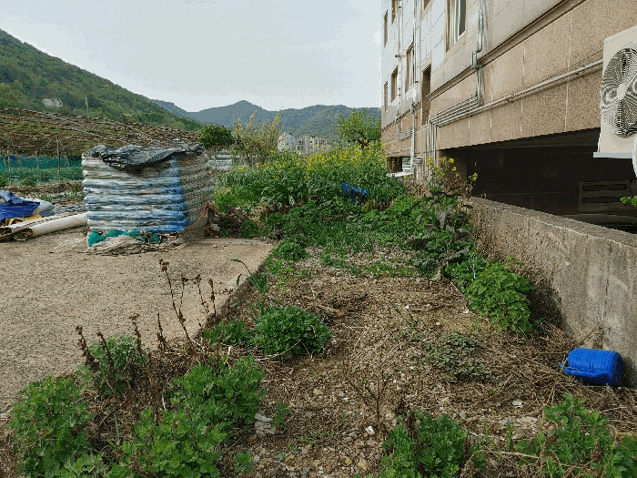 물건 사진 34