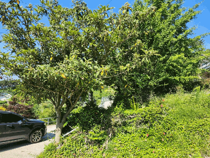 물건 사진 20