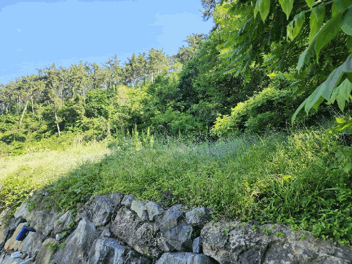 물건 사진 27