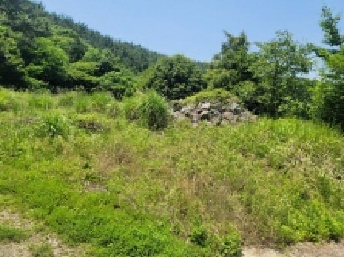 물건 사진 7