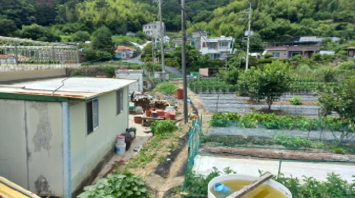 물건 사진 5