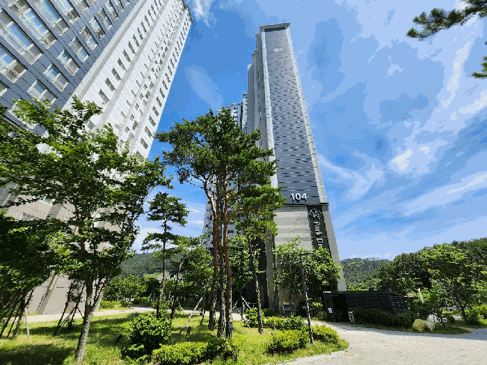 물건 사진 6