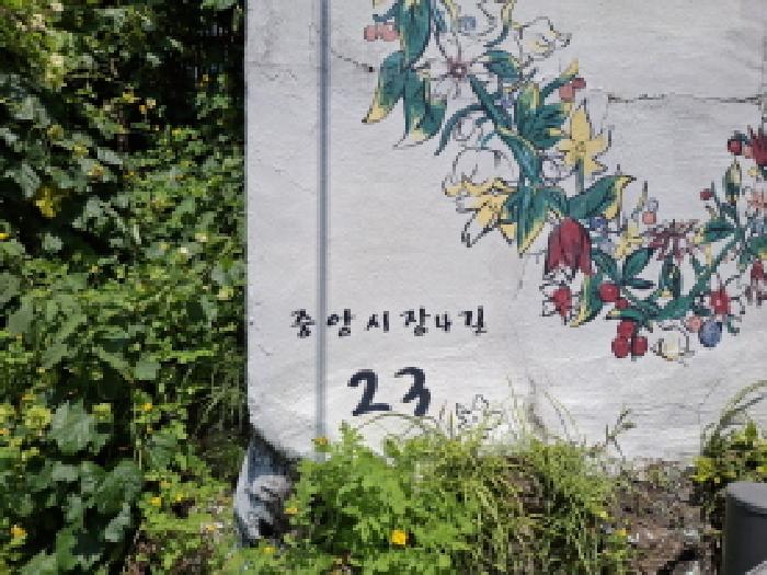 물건 사진 2