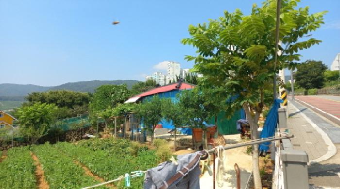 물건 사진 10