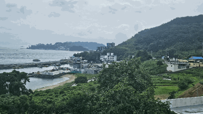 물건 사진 89