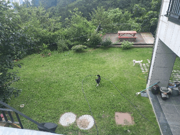 물건 사진 16