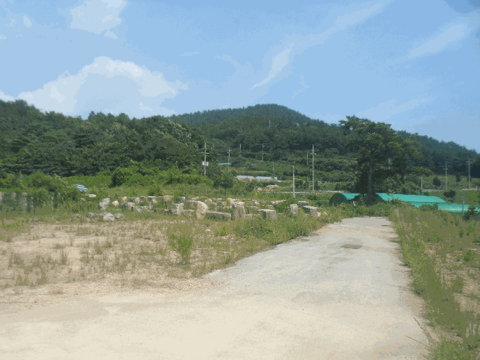 물건 사진 19