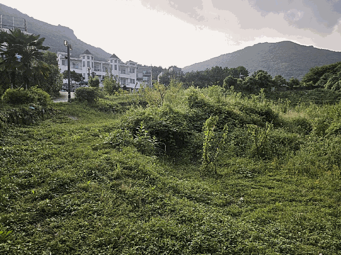 물건 사진 11