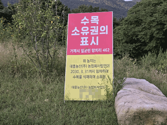 물건 사진 13