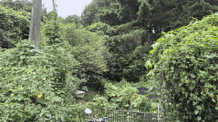 물건 사진 13