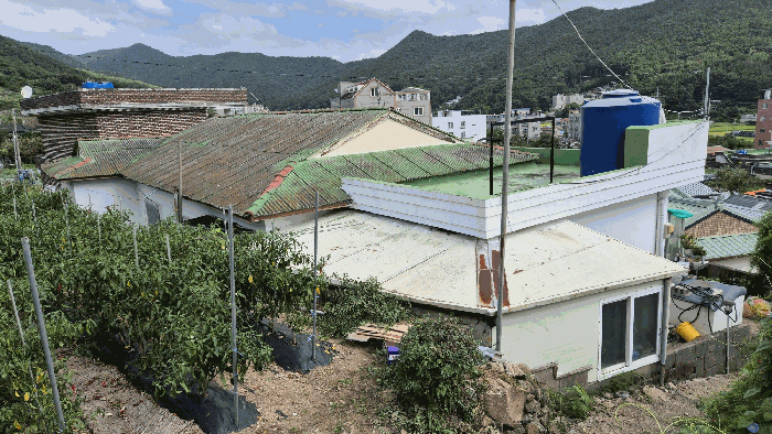 물건 사진 14