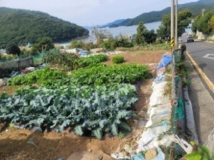 물건 사진 2