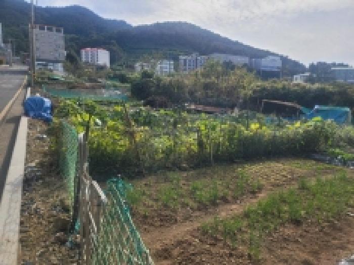물건 사진 12