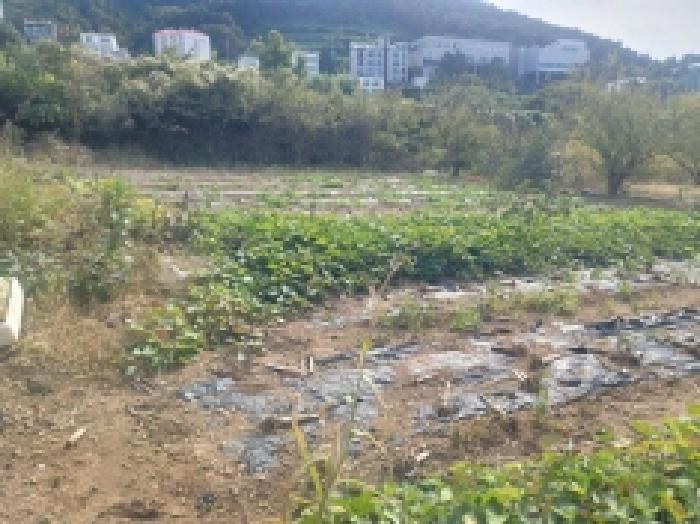 물건 사진 15