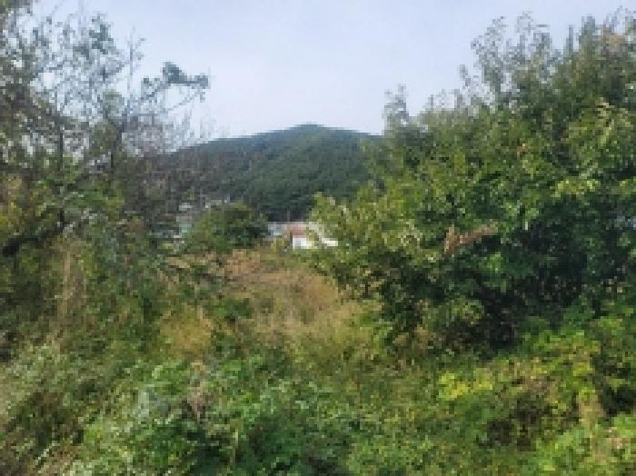 물건 사진 17